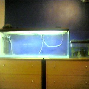 newtank.jpg