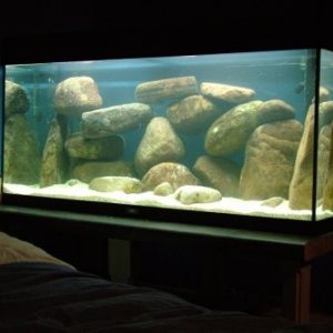 DSCF1070.JPG