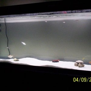 55G_10_reduced.JPG