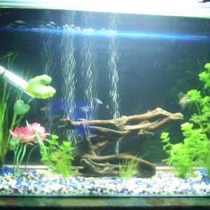 TankFullShot.jpg