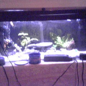 06041300.JPG