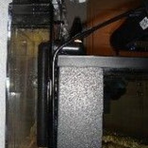 pic35_cprrefugium2.jpg