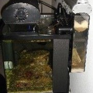 pic35_cprrefugium3.jpg
