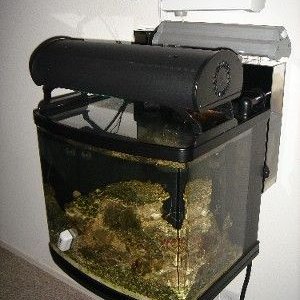 pic35_cprrefugium4.jpg