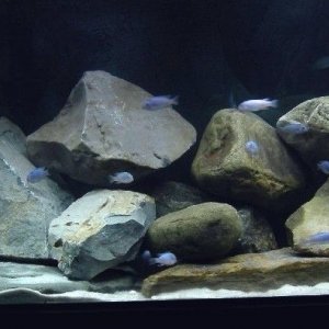tank_050aa.jpg
