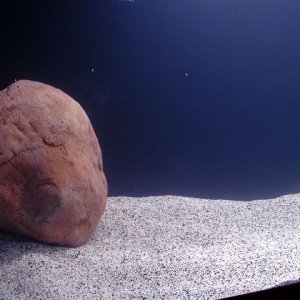 rock.jpg
