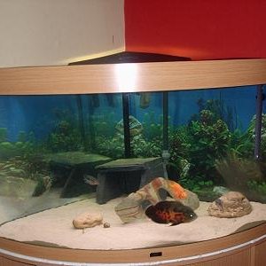 new_tank_002.jpg