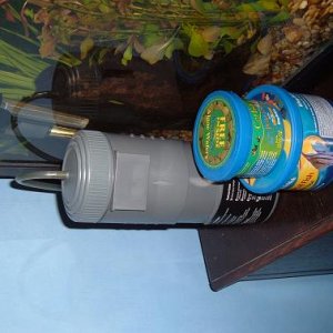 DSCF3527.JPG