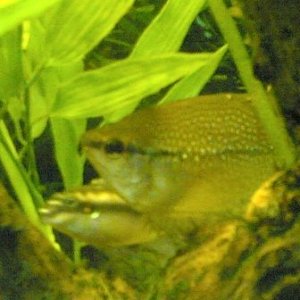 Image_355_.jpg