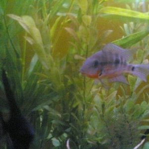 Image_290_1_xxxxxxxx.jpg