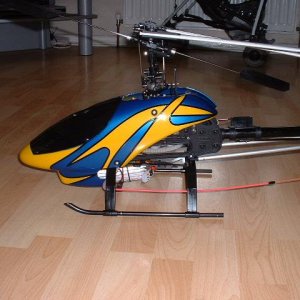 swift_0099.JPG