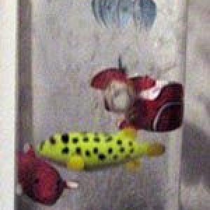 fishtube.jpg