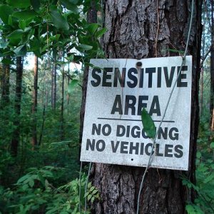 Sign.JPG