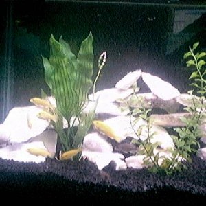 Picture_15.jpg