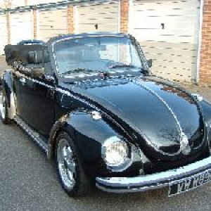the_bug_1.jpg