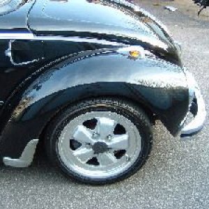 the_bug_5.jpg