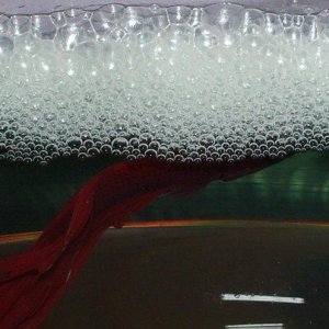 bubbles.JPG