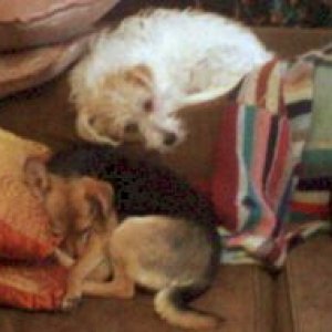 Oscar_and_Ciara.jpg