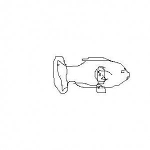 fishsick.JPG