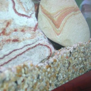 105_gal_7.JPG