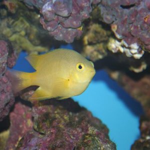 new_fish_pics_025.jpg