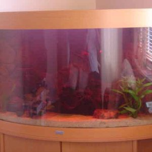 Aquarium_003.jpg