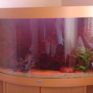 Aquarium_009.jpg