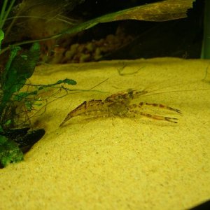 2006_0928_211654.JPG