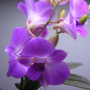IMG_1108smaller.JPG
