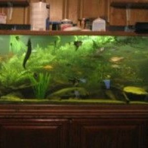 150_gal_tank.JPG