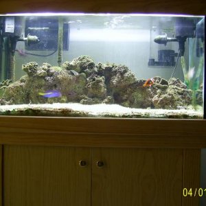 Full_Tank.JPG