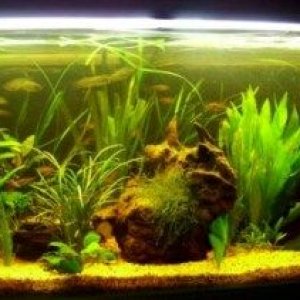 tank_three_months.jpg