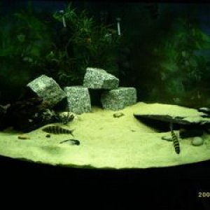 AAAA0362_2_.jpg