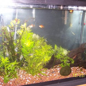 NEWTANK_UPDATE_6.JPG