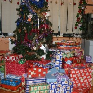 IMG_1646.jpg