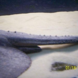 ray_update2.JPG