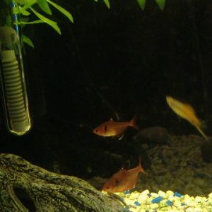 DSCF4282.JPG