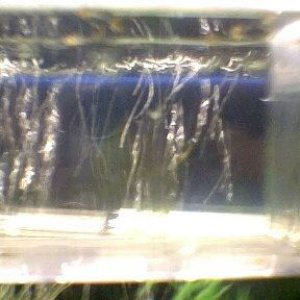 photo001.jpg