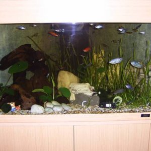 Full_Tank.JPG