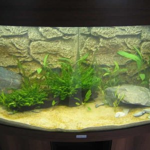 Tank_007.jpg