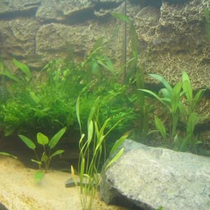 Tank_009.jpg
