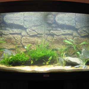 Tank_Day_1.jpg