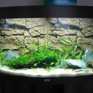 Tank_Day_7.jpg