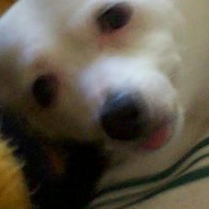 awake.JPG