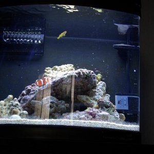 Full_tank.JPG