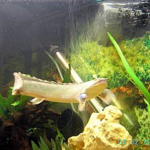 PICT0204.JPG