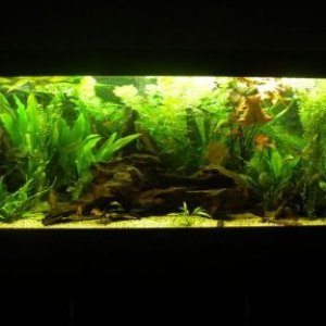 front_view.JPG
