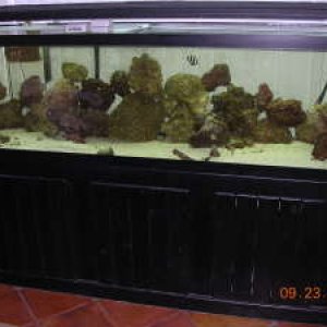 tank1.jpg