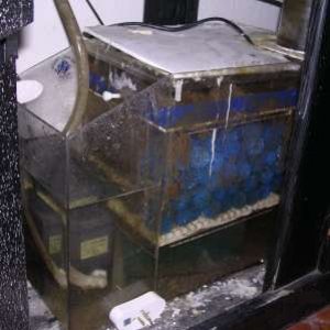 tank3.jpg