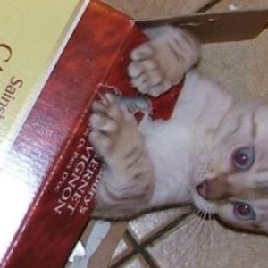 billy_fudge_drink_hic.JPG